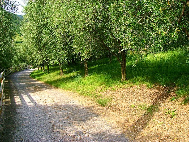 B&B Curtif Tavernola Bergamasca Exterior foto